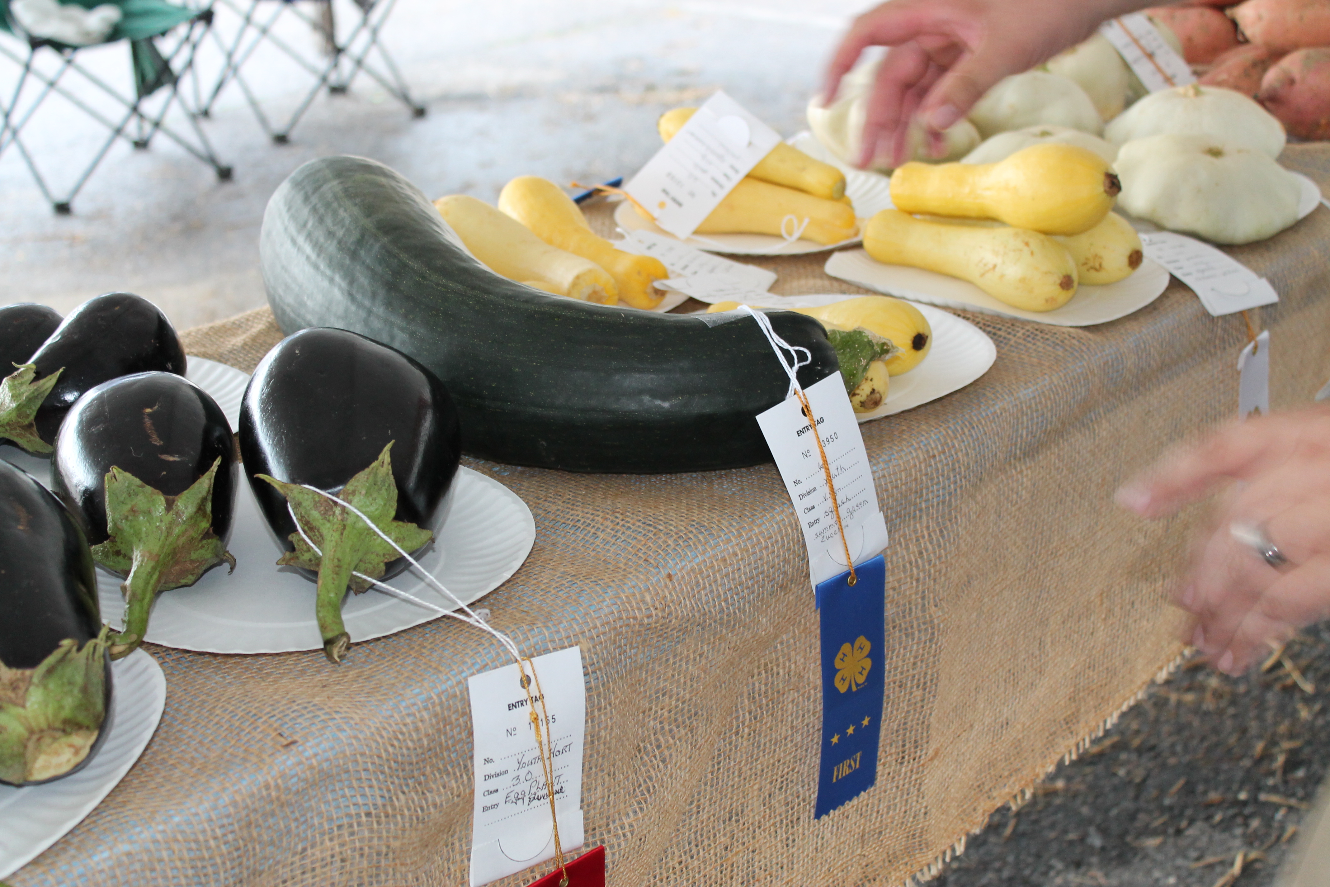 County Fair 2012 - Opening Day 005